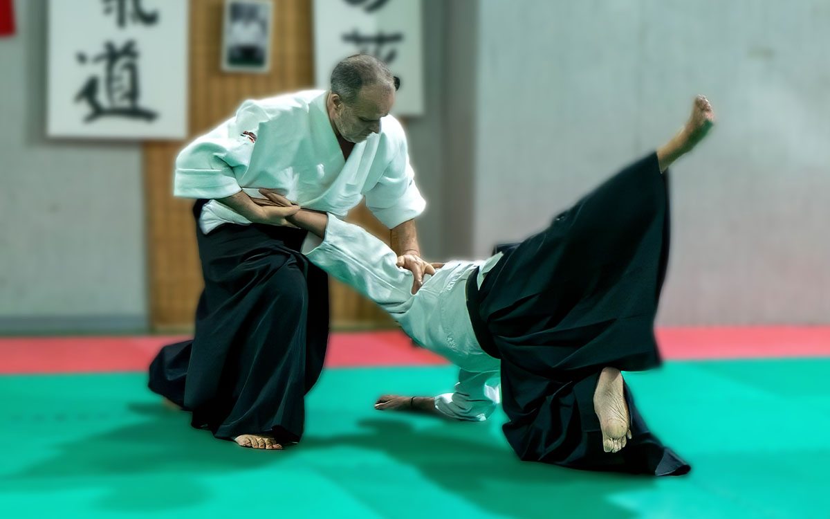 Il tatami del dojo Fuji No Hana